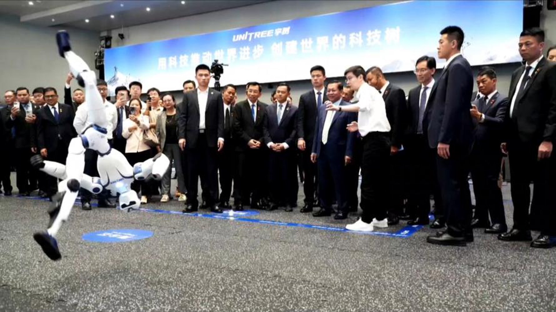 缜莱网络科技